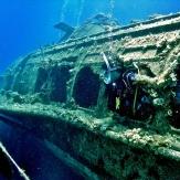 tauchen-las-palmas-diving 4.jpg