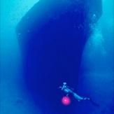 tauchen-las-palmas-diving 19.jpg