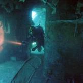 tauchen-las-palmas-diving 24.jpg