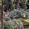 sightseeing-gran-canaria-jardin-botanico.jpg