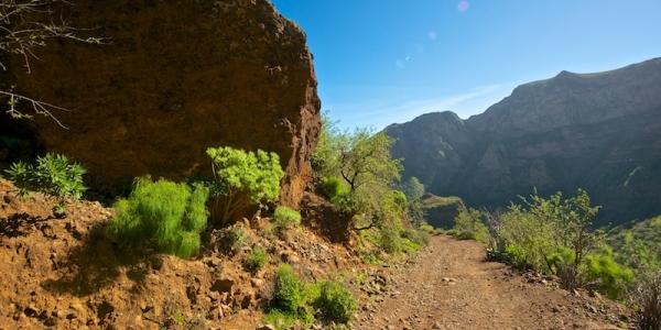 discover fascinating trails and country lanes without risk and having fun with likeminded. We   organize weekly guided excursions adapted to your skill levels.