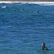 wellenreiten_gran_canaria_barra7.jpg