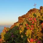 aussichtspunkte-las-palmas-confital3.jpg