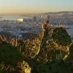 aussichtspunkte-las-palmas-confital5.jpg