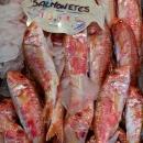 mercado-central-las-palmas-8.jpg