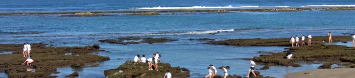 sightseeing-las-palmas-canteras-riff-la-barra