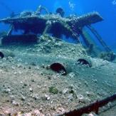 tauchen-las-palmas-diving 23.jpg