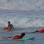 surf20_600.jpg