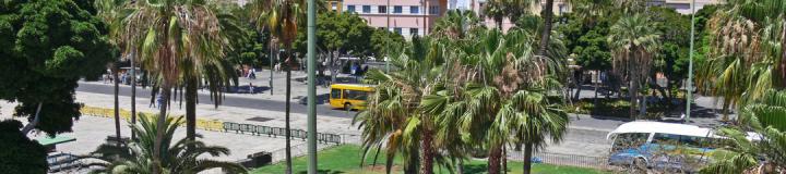 sightseeing-gran-canaria-parque-catalinaI.jpg