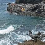 sehenswürdigkeiten-gran-canaria-spazierweg-confital24.jpg
