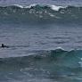 surfen_bilder_gran_canaria_confital1.jpg