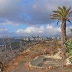 sightseeing-gran-canaria-san-juan-de-dios6.jpg
