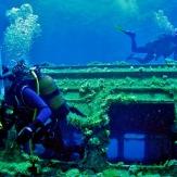 tauchen-las-palmas-diving 3.jpg