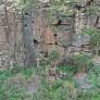 sightseeing-gran-canaria-barranco-hormiguero2.jpg