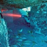 tauchen-las-palmas-diving 10.jpg