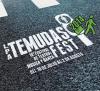 Temudas Fest 2014 Las Palmas