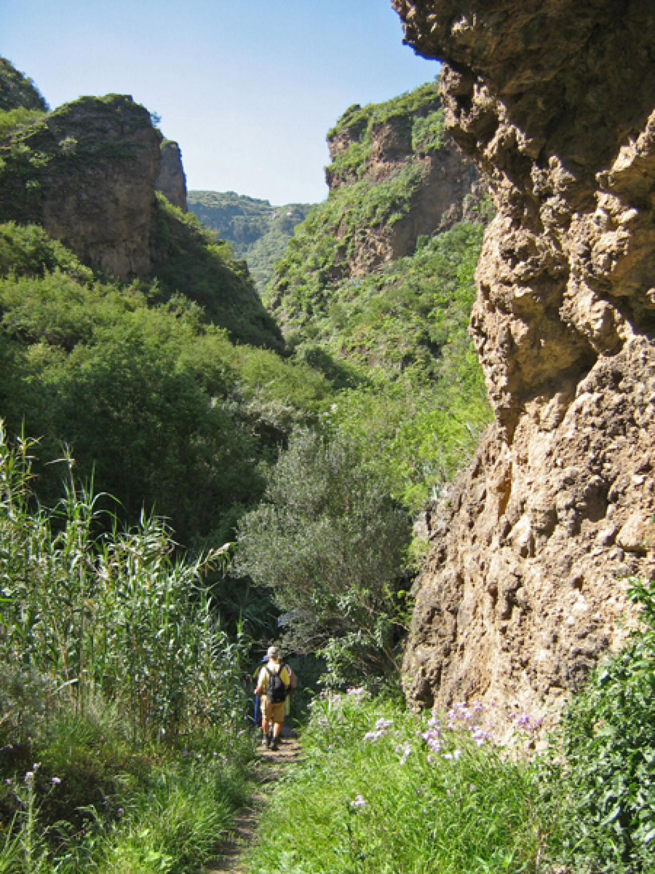 wandern-gran-canaria-discovery16.jpg