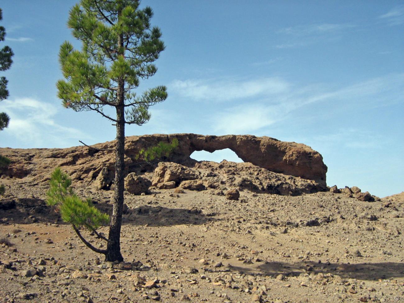 wandern-gran-canaria-discovery9.jpg