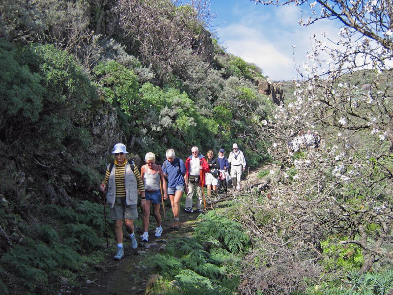 wandern-gran-canaria-discovery18.jpg