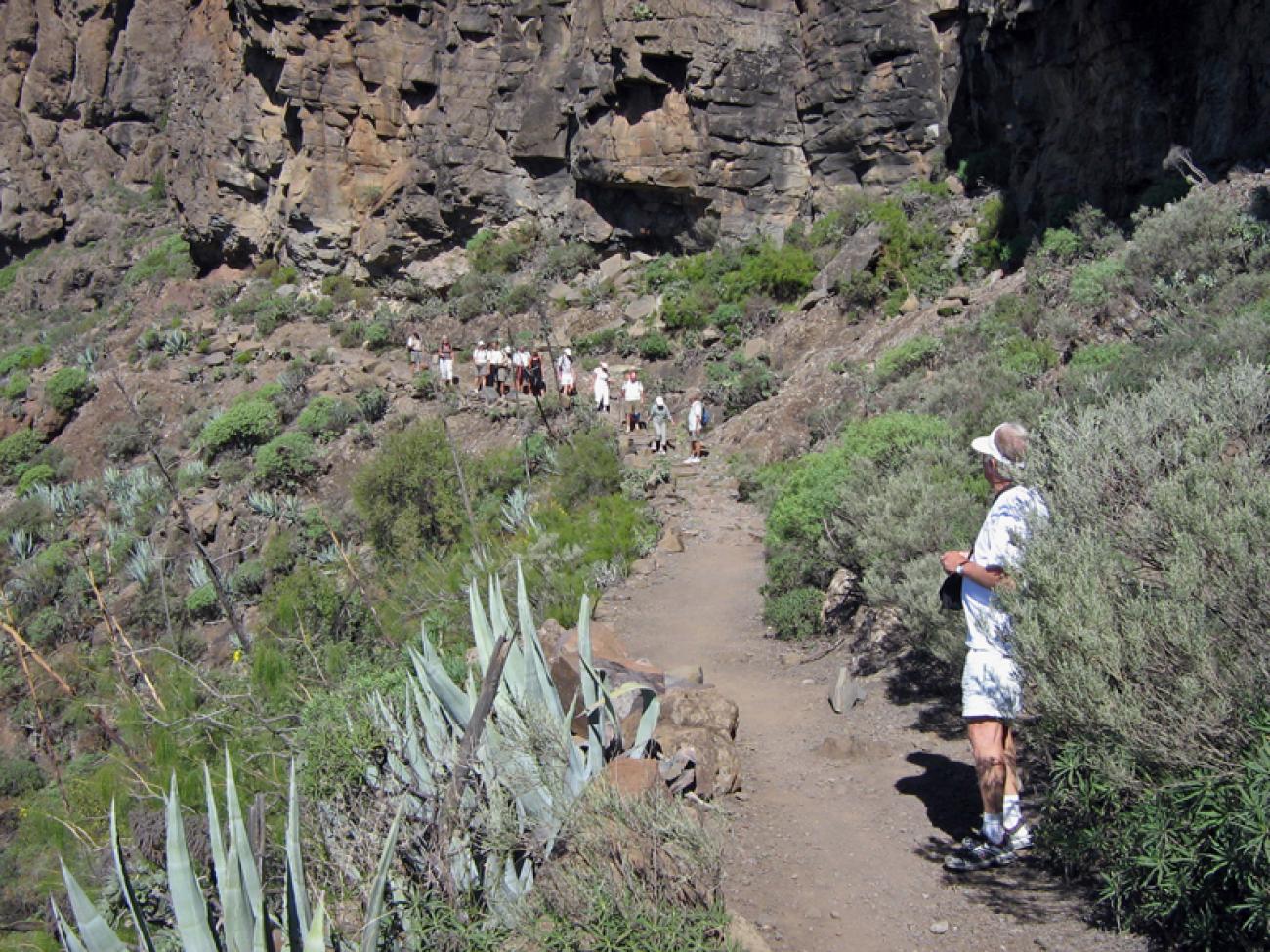 wandern-gran-canaria-discovery11.jpg