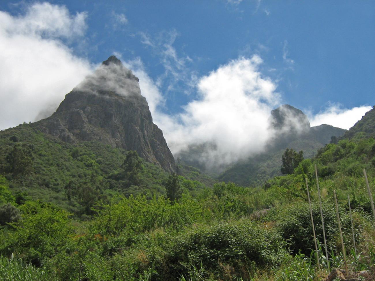 wandern-gran-canaria-discovery35.jpg