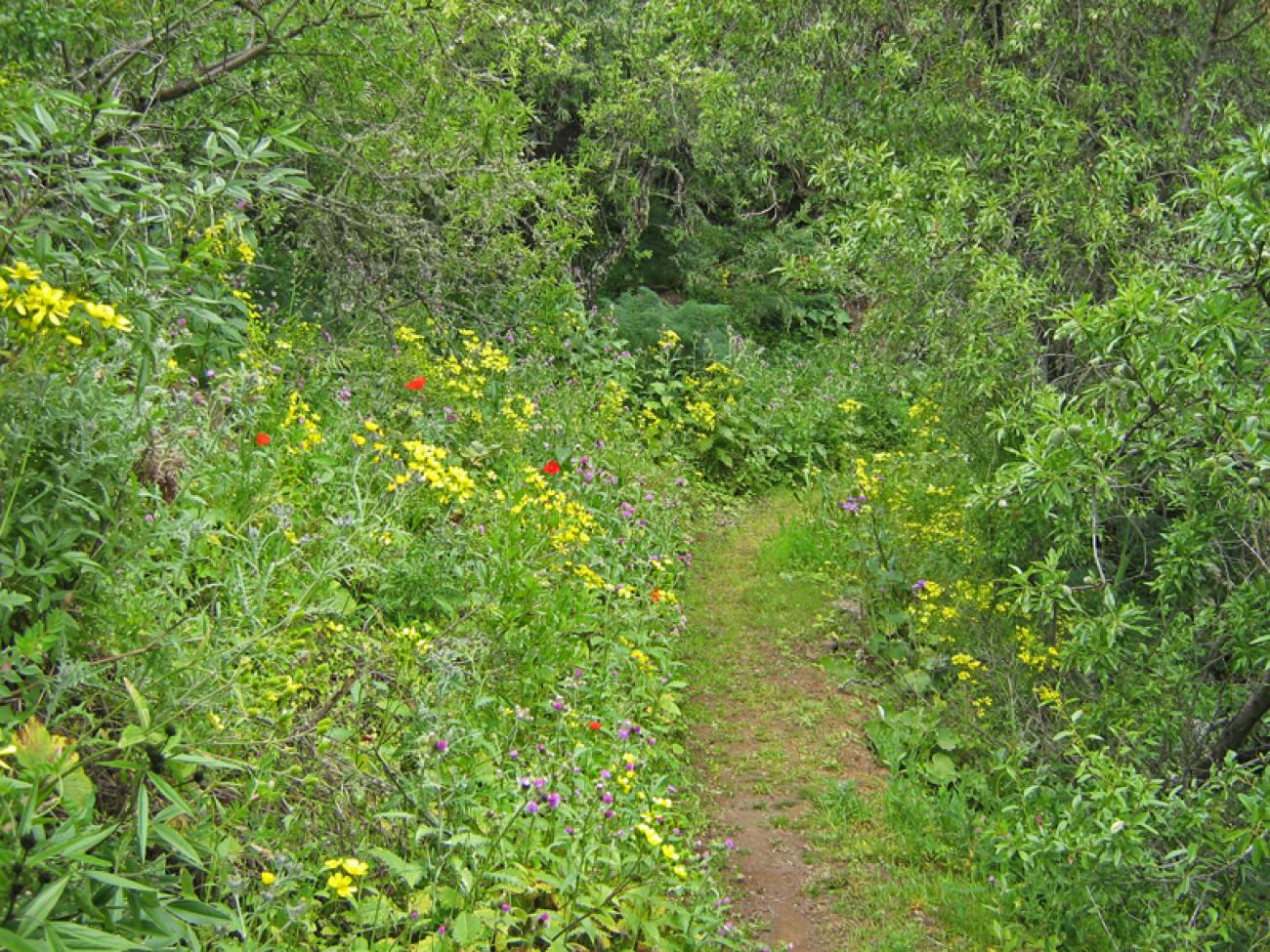 wandern-gran-canaria-discovery13.jpg