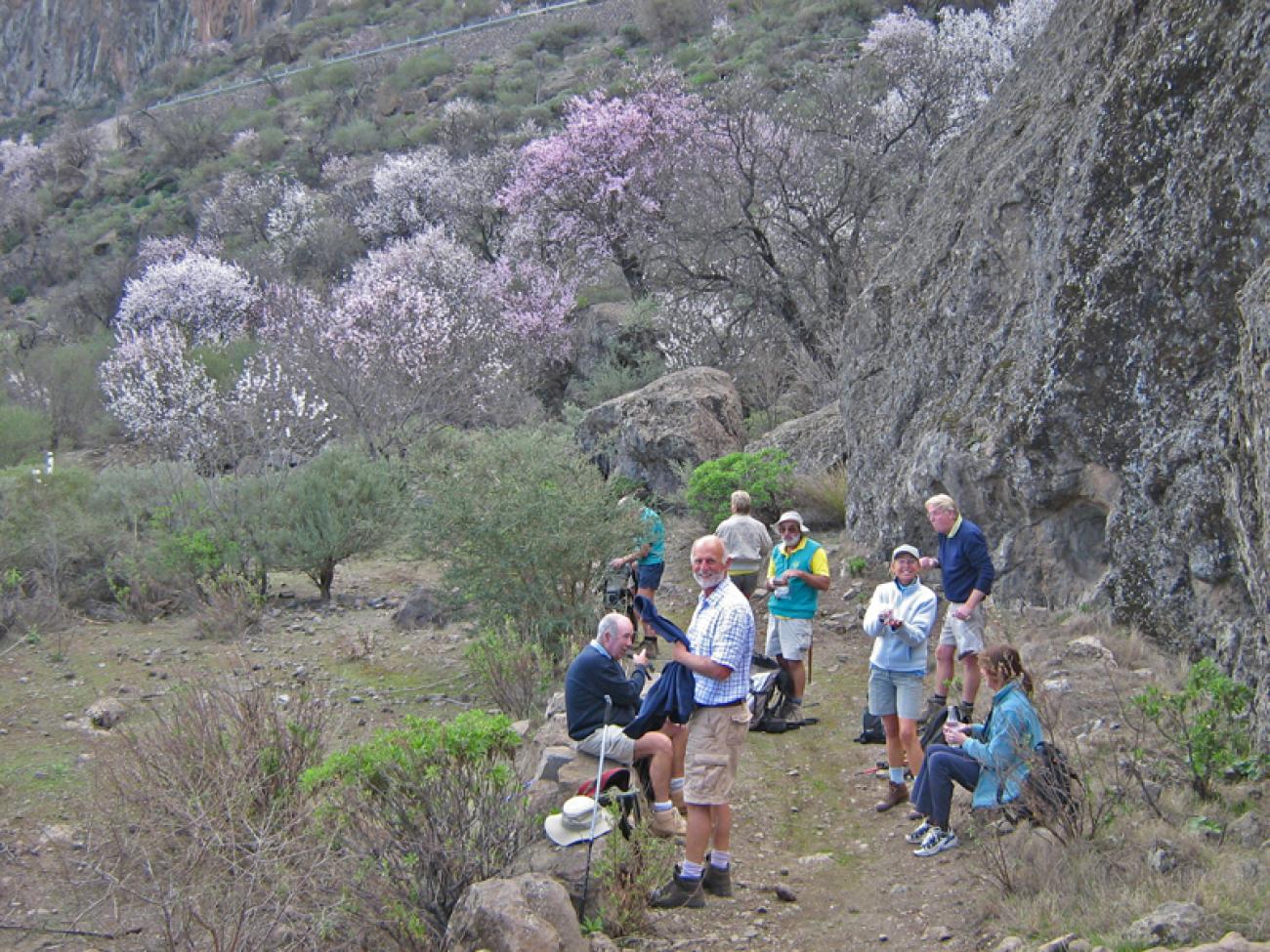 wandern-gran-canaria-discovery25.jpg