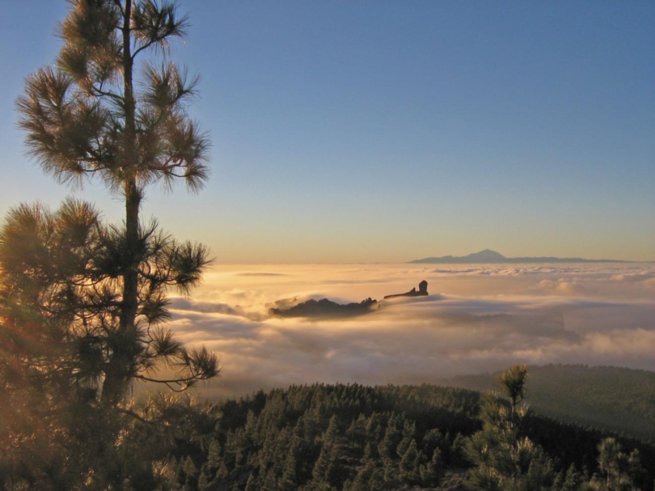 wandern-gran-canaria-discovery36.jpg