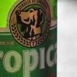 bier-las-palmas-01.jpg